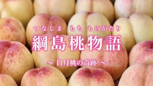 綱島桃物語