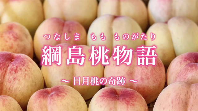 綱島桃物語